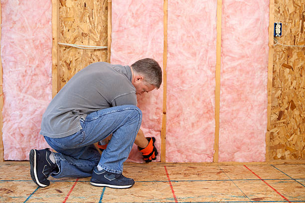 Best Basement Insulation  in Chinook, MT